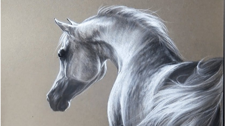 Видео урок рисования пастелью _Портрет лошади_ - Д_0.png